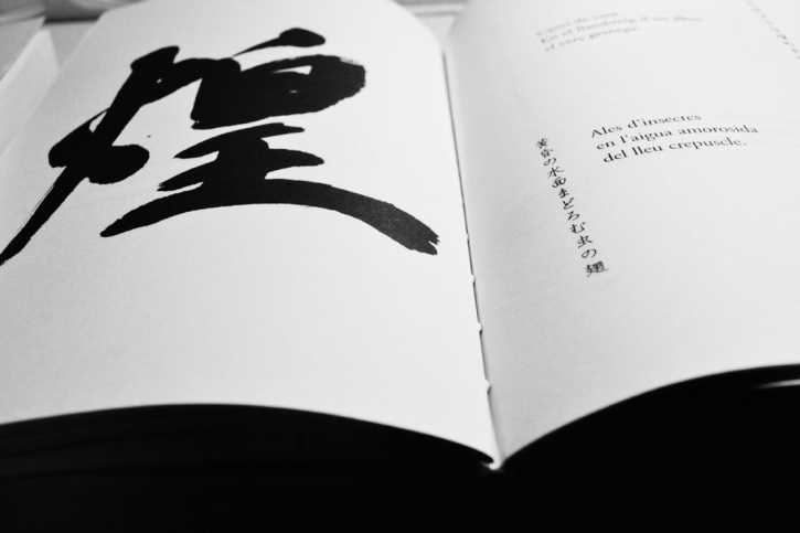 El camí del haiku 2 (curs de primavera)