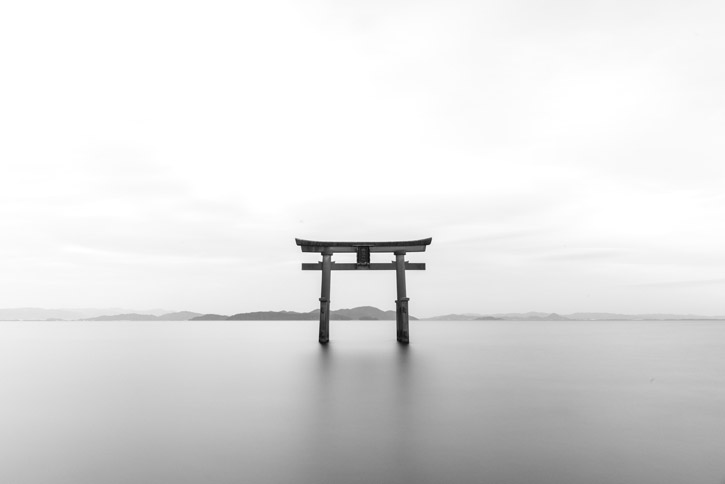 El camí del haiku I